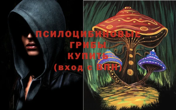 скорость Медвежьегорск
