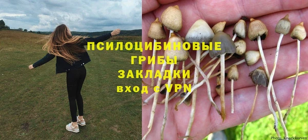 прущий лед Медногорск