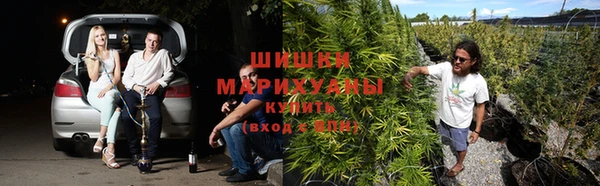 скорость Медвежьегорск