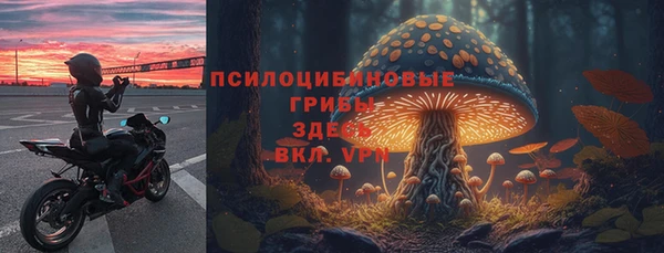 прущий лед Медногорск